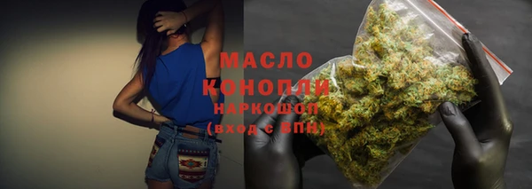 амф Каменка