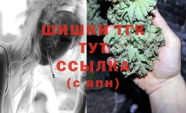 дмт Заводоуковск