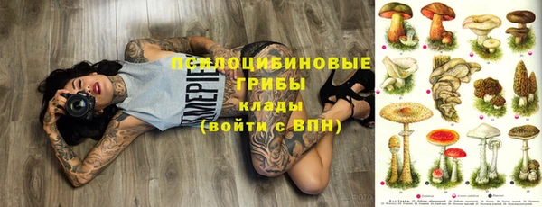 a pvp Зеленокумск