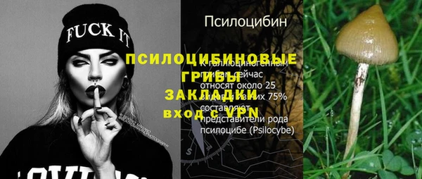 COCAINE Инсар