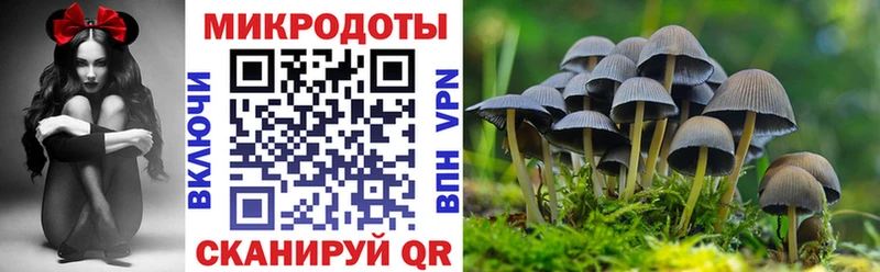 Купить где Жуков Псилоцибиновые грибы мицелий